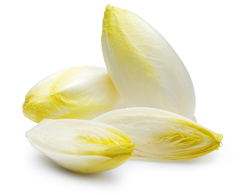 Gobiotics